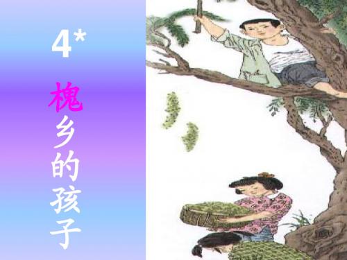 三年级语文《槐乡的孩子》