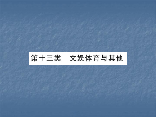中考英语复习讲与练课件第13类 文娱体育与其他