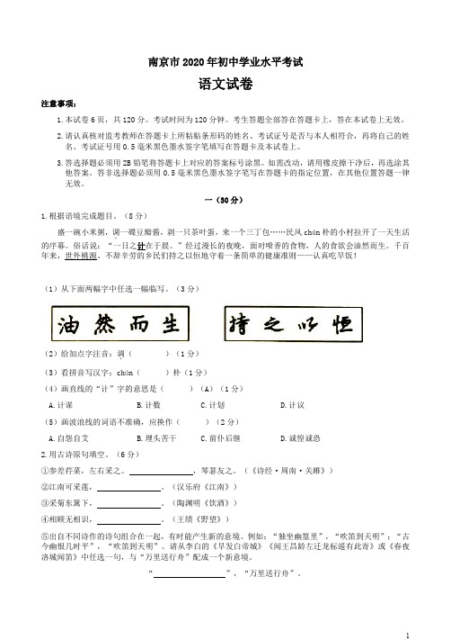 南京市2020年初中学业水平考试语文试题卷附答案解析