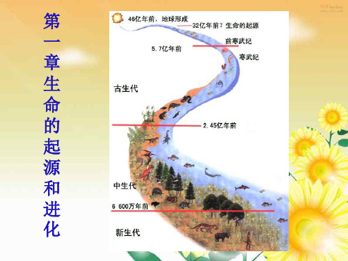 济南版八年级下册第五单元 第一章 生命的起源和进化 (共12张PPT)