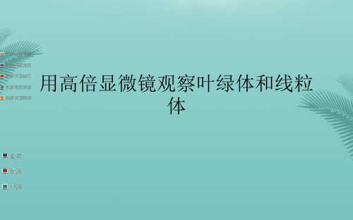 用高倍显微镜观察叶绿体和线粒体(精选优秀)PPT