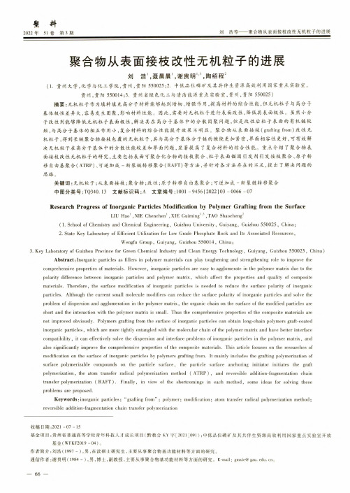 聚合物从表面接枝改性无机粒子的进展