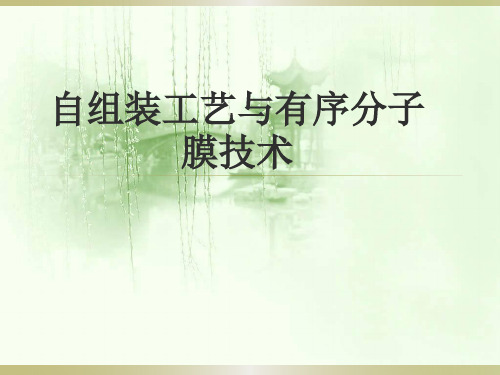 自组装工艺