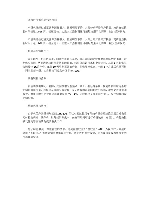 立秋时节蛋鸡需强制换羽