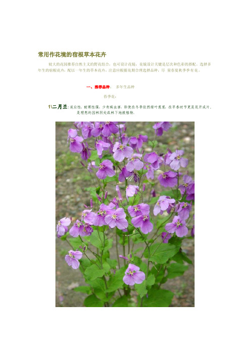 常用作花境的宿根草本花草[精华]