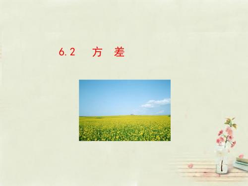 湘教初中数学七下《6.1.3众数 》PPT课件 (3)