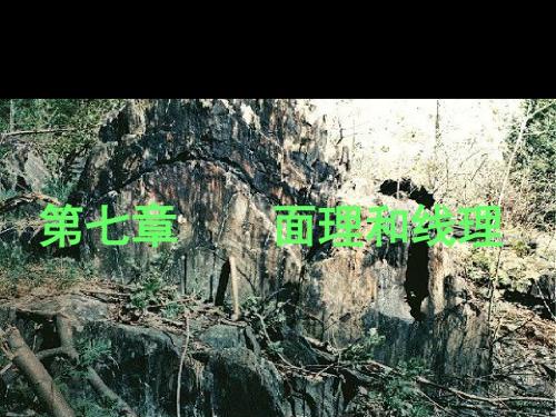面理和线理讲稿