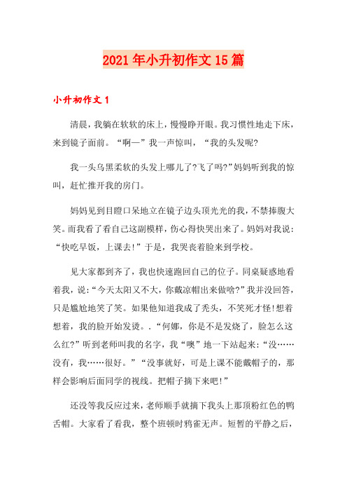 2021年小升初作文15篇