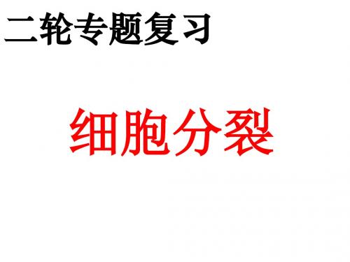 细胞分裂二轮专题复习高三生物