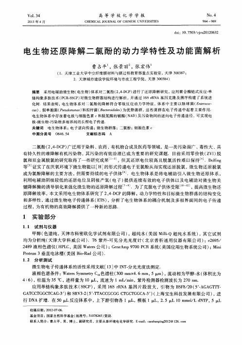 电生物还原降解二氯酚的动力学特性及功能菌解析