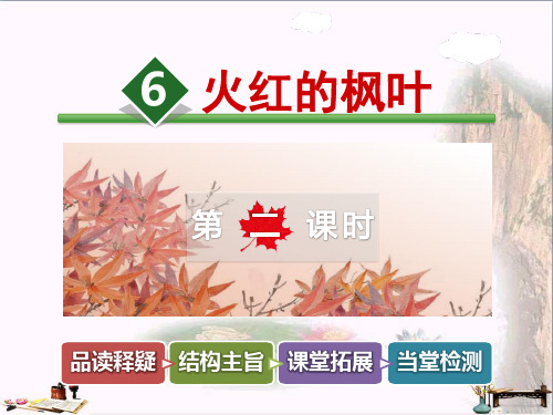 二年级语文上册 第6课 火红的枫叶(第2课时)优秀PPT课件 苏教版