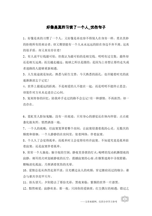 好像是真的习惯了一个人-忧伤句子