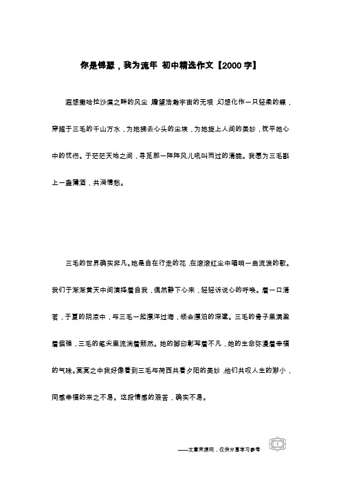 你是锦瑟,我为流年 初中精选作文【2000字】