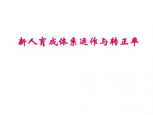 新人育成体系运作与转正率(55页)