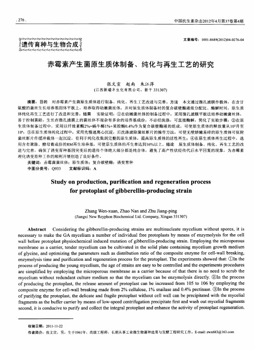 赤霉素产生菌原生质体制备、纯化与再生工艺的研究