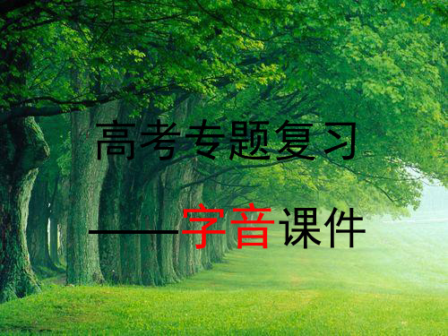 高职语音复习专题ppt课件