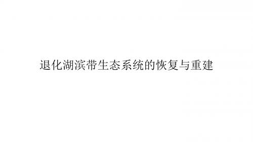 退化湖滨带生态系统的恢复与重建