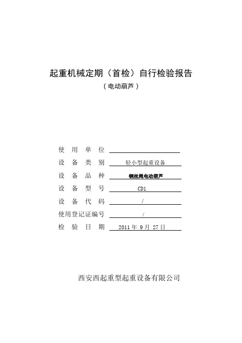 电动葫芦自检报告