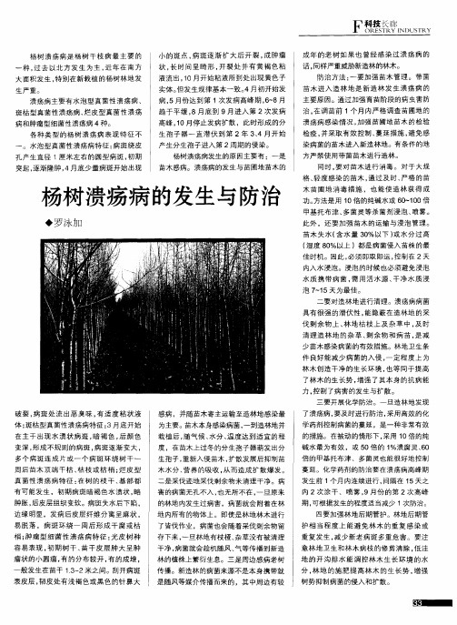 杨树溃疡病的发生与防治