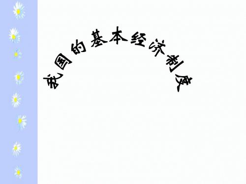 我国的基本经济制度-2