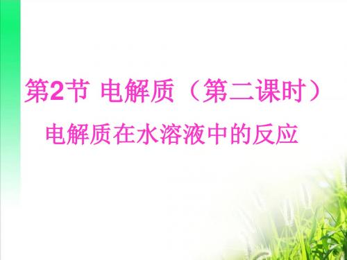 电解质 PPT课件19(3份) 鲁科版