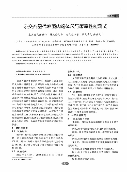 杂交商品代麻羽肉鸡体尺与屠宰性能测试