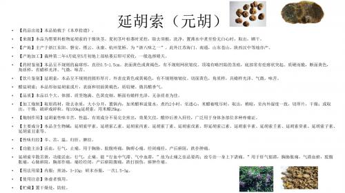 28.延胡索