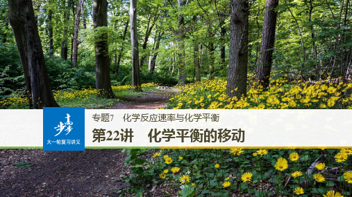 2019届高考化学一轮复习专题7 第22讲化学平衡的移动 (共101页)