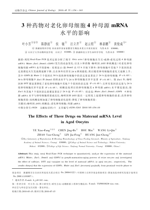 3种药物对老化卵母细胞4种母源mRNA水平的影响
