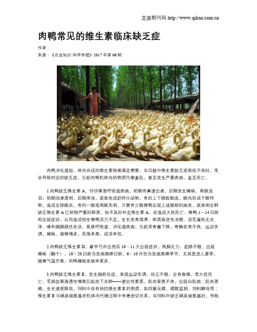 肉鸭常见的维生素临床缺乏症