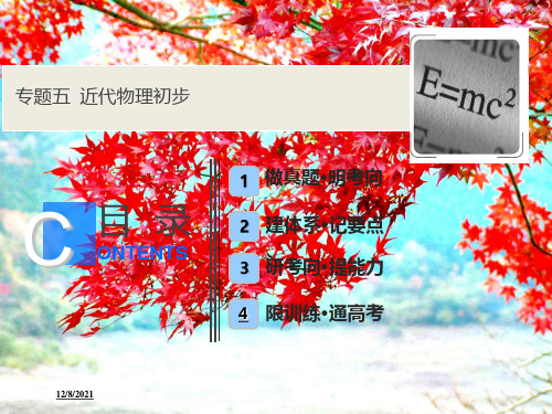 高考物理二轮复习专题五近代物理初步课件