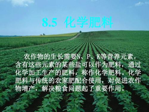 化学肥料PPT课件12 人教版