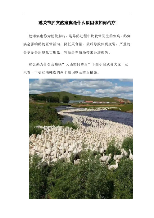 鹅关节肿突然瘫痪是什么原因该如何治疗