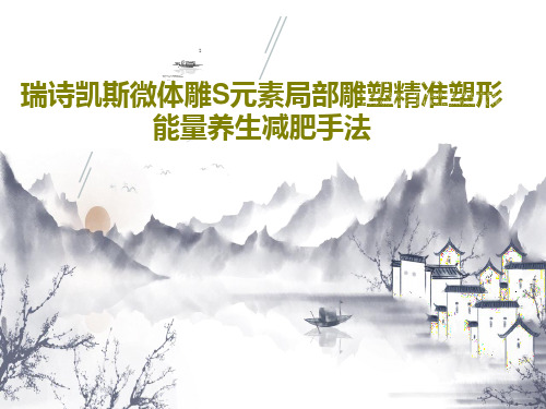 瑞诗凯斯微体雕S元素局部雕塑精准塑形能量养生减肥手法19页PPT