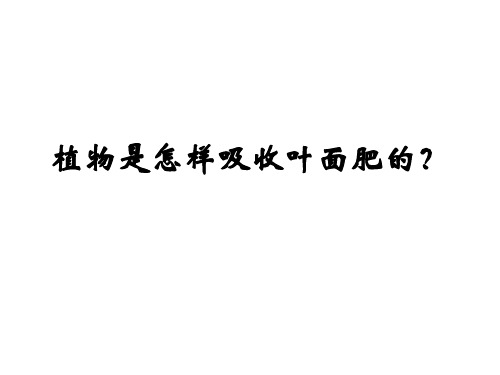 植物是怎样吸收叶面肥的？概要