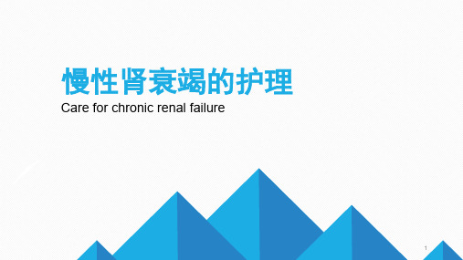 慢性肾衰竭的护理业务学习PPT课件