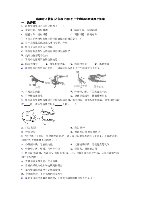 洛阳市人教版(八年级上册)初二生物期末测试题及答案