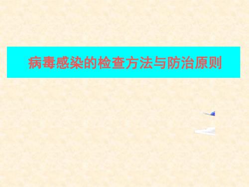 病毒感染的检查方法和防治原则课件