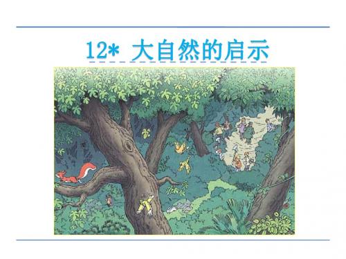 12 《大自然的启示》精品课件