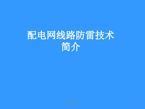 10kV配电线路防雷技术简介  ppt课件