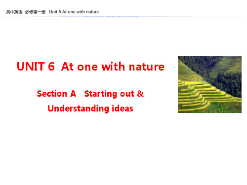 外研版版高中英语必修一UNIT 6  At one with nature