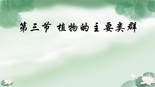 植物的主要类群 北师大版生物八年级下册 教学PPT课件