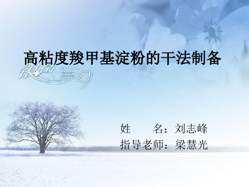 高粘度羧甲基淀粉的干法制备.ppt