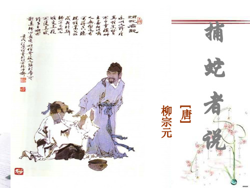《捕蛇者说》PPT课件  图文