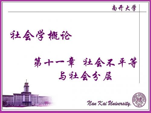 社会学概论_彭华民_第十一章社会分层