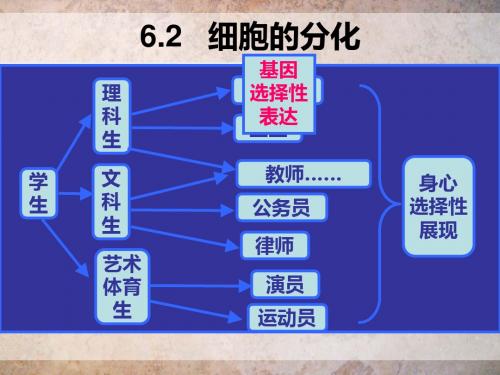 细胞分化衰老凋亡癌变-名校课件