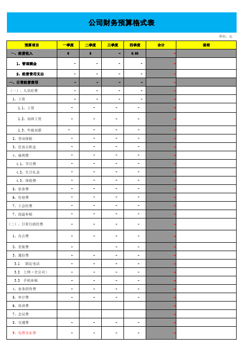 财务预算格式表(全年)模板