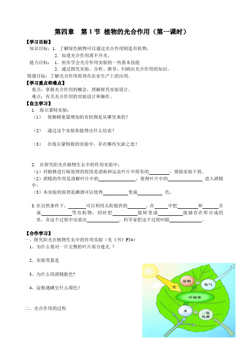 苏科版生物七年级上册4.1《植物的光合作用》授课导学案设计(无答案)