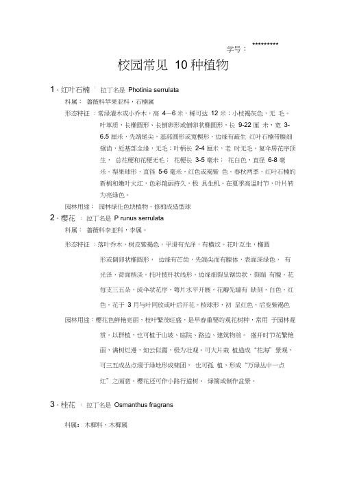校园常见10种植物