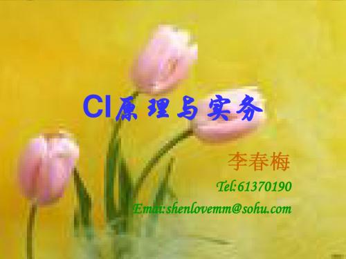第一讲 CI概述